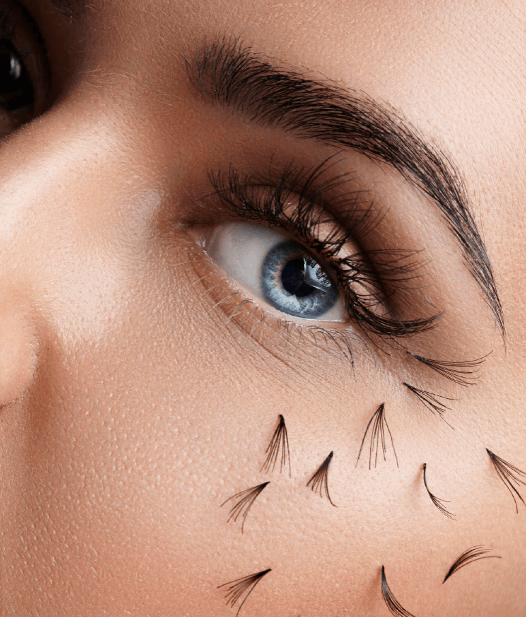 Lash Lift – lash Perm