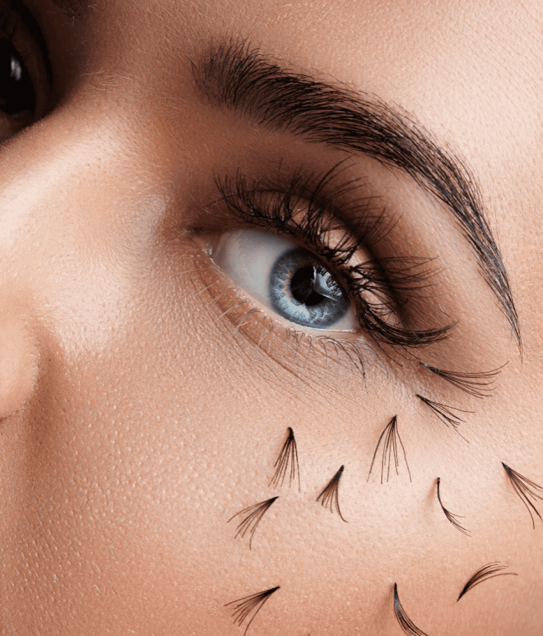Lash Lift – lash Perm